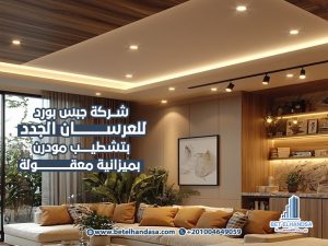 شركة-جبس-بورد-للعرسان-الجدد-بتشطيب-مودرن-بميزانية-معقولة (1)